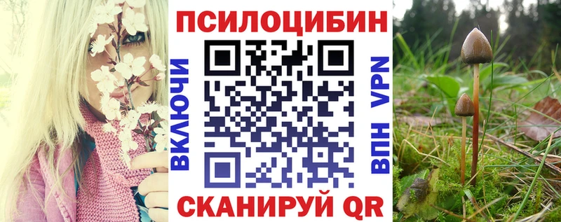 Галлюциногенные грибы прущие грибы  закладки  Жигулёвск 